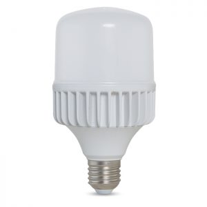 Bóng đèn LED BULB trụ 30W LED TR100N1/30W.H Rạng đông