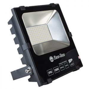 Đèn Pha LED 100W (2019) Rạng Đông
