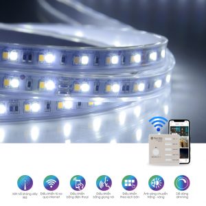Đèn led dây đổi màu CCT Bluetooth Rạng Đông
