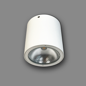 Đèn LED Downlight Trụ Trang Trí Ngoài Trời NSDL2236-73 Ánh Sáng Vàng Nanoco